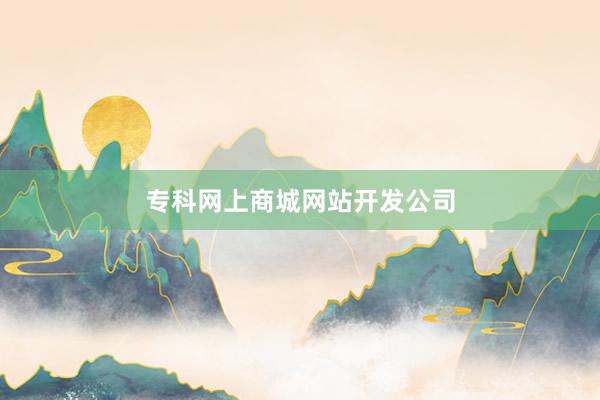 专科网上商城网站开发公司